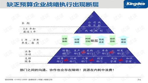 企業(yè)預(yù)算系統(tǒng)優(yōu)化 策略、實(shí)施與咨詢服務(wù)指南