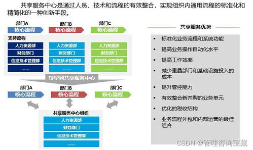 集團(tuán)公司人力資源共享服務(wù)中心建設(shè)方案與咨詢服務(wù)框架