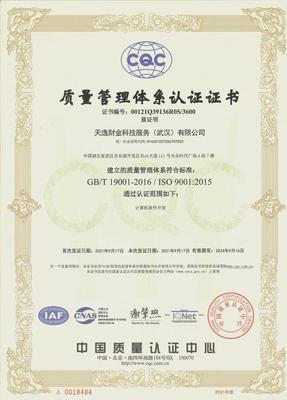 喜訊！天逸集團榮獲ISO27001信息安全管理體系認證，武漢軟件開發再添權威背書