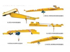 蘇州歐式起重機(jī)供應(yīng)與服務(wù)——訪蘇州晟源起重機(jī)楊總